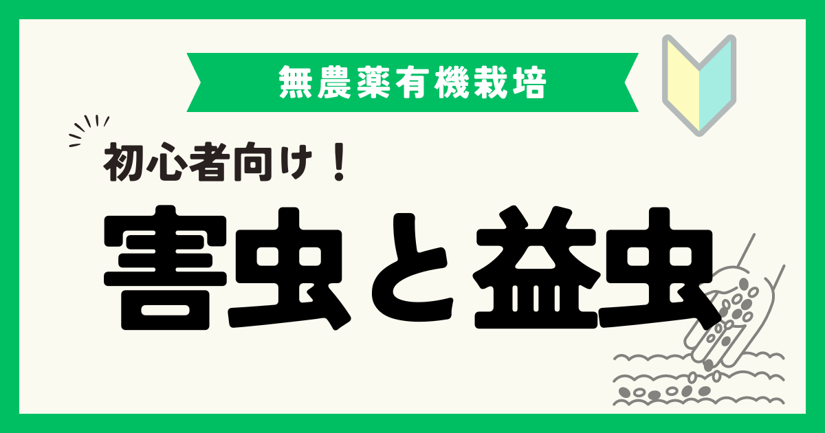 野菜栽培で取り除いてはいけない虫もいる！？害虫と益虫を紹介！